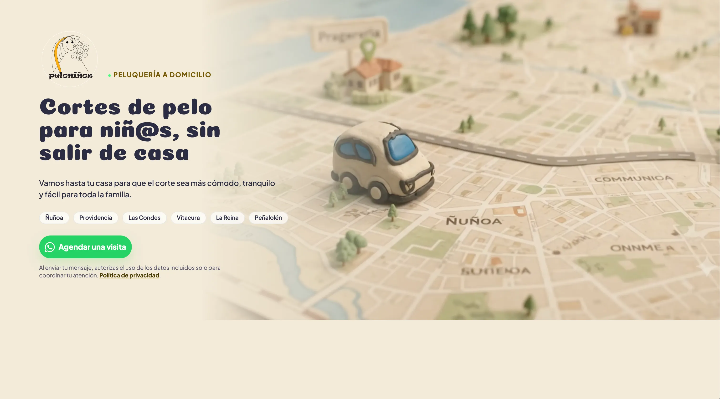 Vista del sitio web de Peloniños